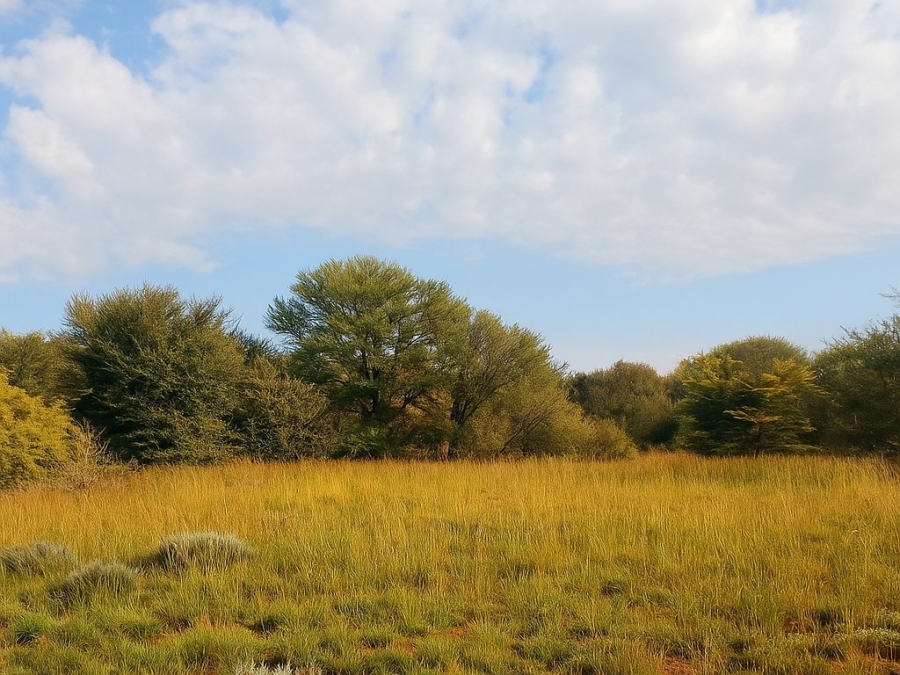 Bedroom Property for Sale in Bloemfontein Rural Free State